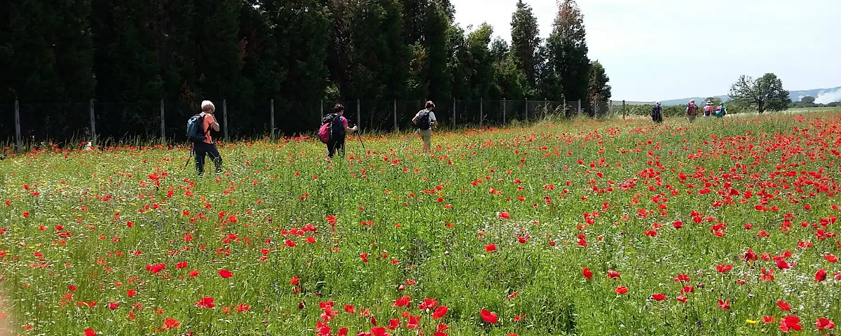 viaggio via cammino